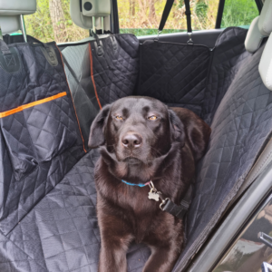 Hondendeken Zwart Oranje Sfeer Hoofdafbeelding