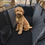 Hondendeken auto achterbank