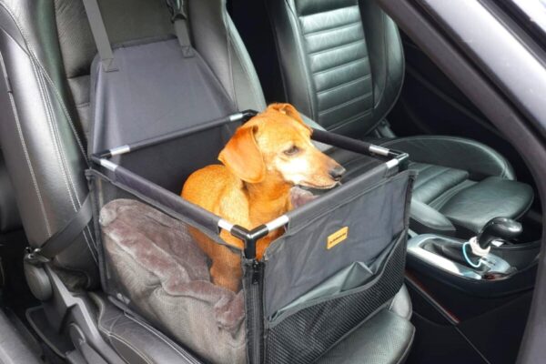 luxe autostoel hond