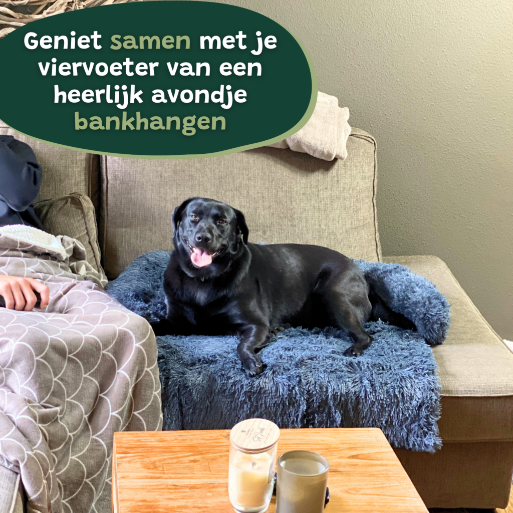 Hondenkussen donker Grijs blauw Bankbeschermer Hondenmand bankkleed3