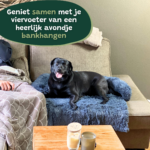 Hondenkussen donker Grijs blauw Bankbeschermer Hondenmand bankkleed3