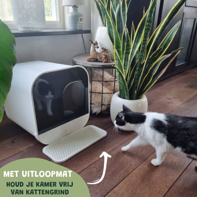 Kattenbak Wit Modern Stijlvol, praktisch en comfortabel De Blaffende Kat
