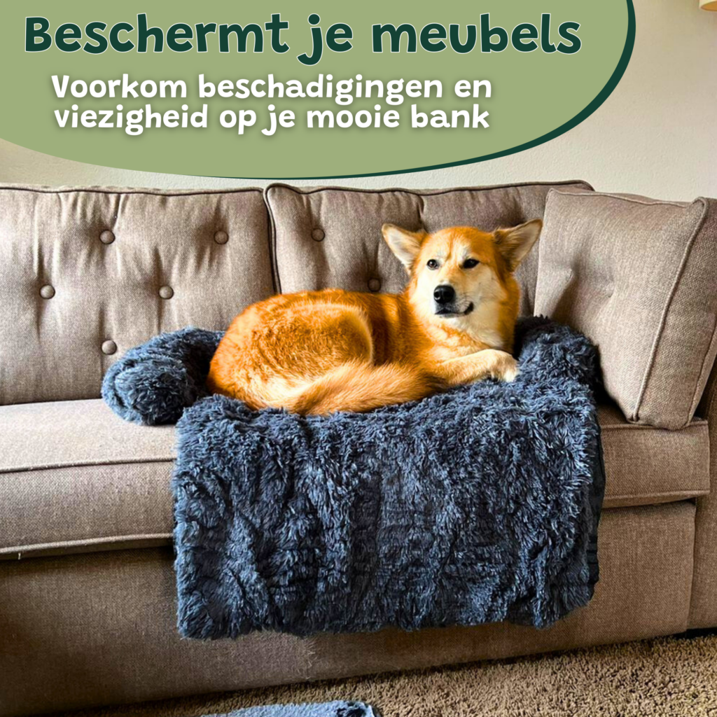 Hondenkussen donker Grijs blauw Bankbeschermer Hondenmand bankkleed 4