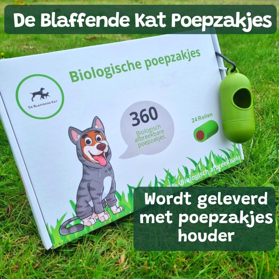 Bone Dry Paw Print Opvouwbare Polyester Huisdier Opbergbak, Rechthoek Klein - 14 x 8 x 9 inch, Poten & Botten Rose
