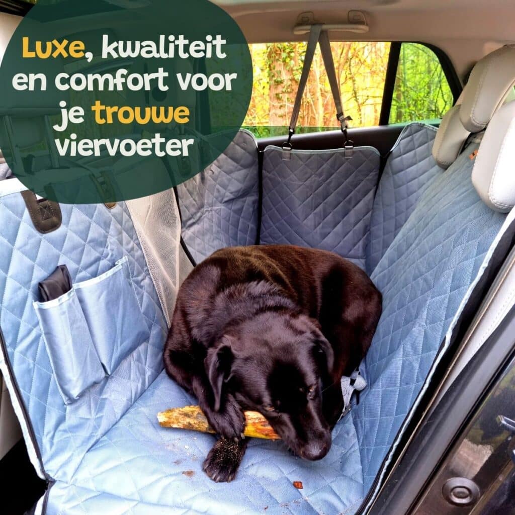 Hondendeken auto achterbank