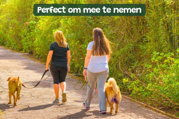 Poepzakjes Hond