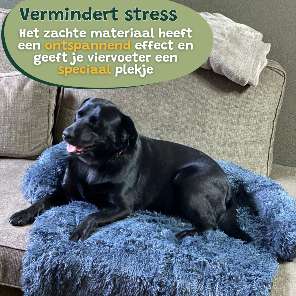 Hondenkussen donker Grijs blauw Bankbeschermer Hondenmand bankkleed 5