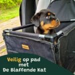 autostoel hond