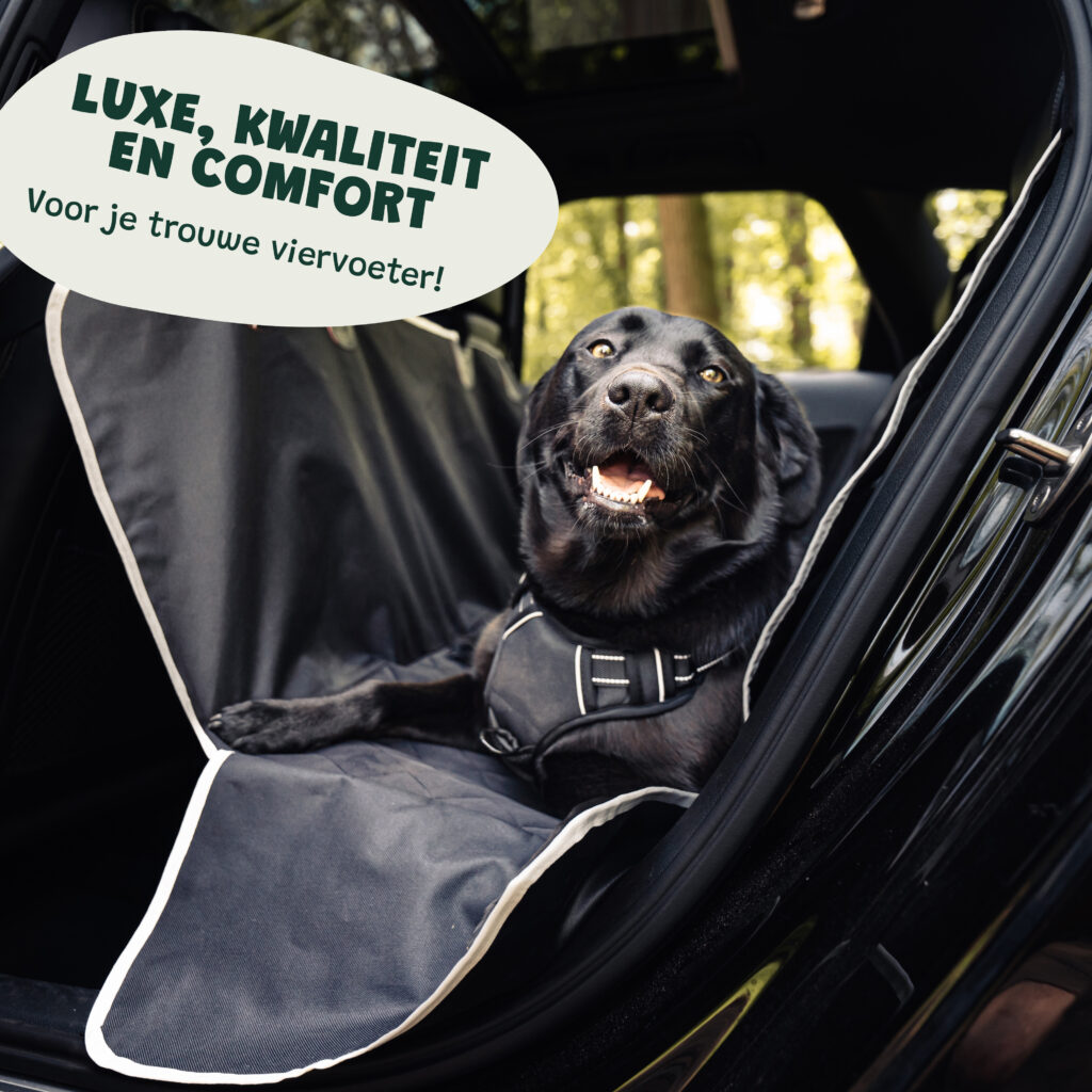 Achterbank Deken Basic 11 (met Tekstwolkje V2)