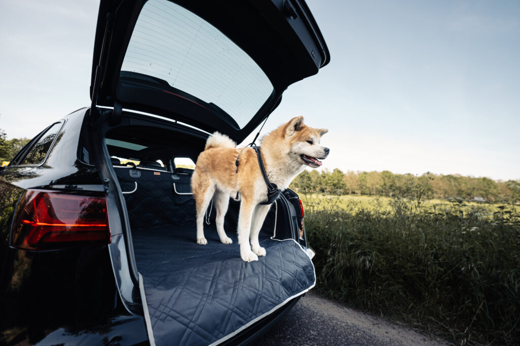 Achterbank Deken Premium Hond 2 6