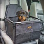 Premium zwarte autostoel voor honden en puppies