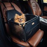 Autostoel Zwart Premium Hoofdafbeelding Test