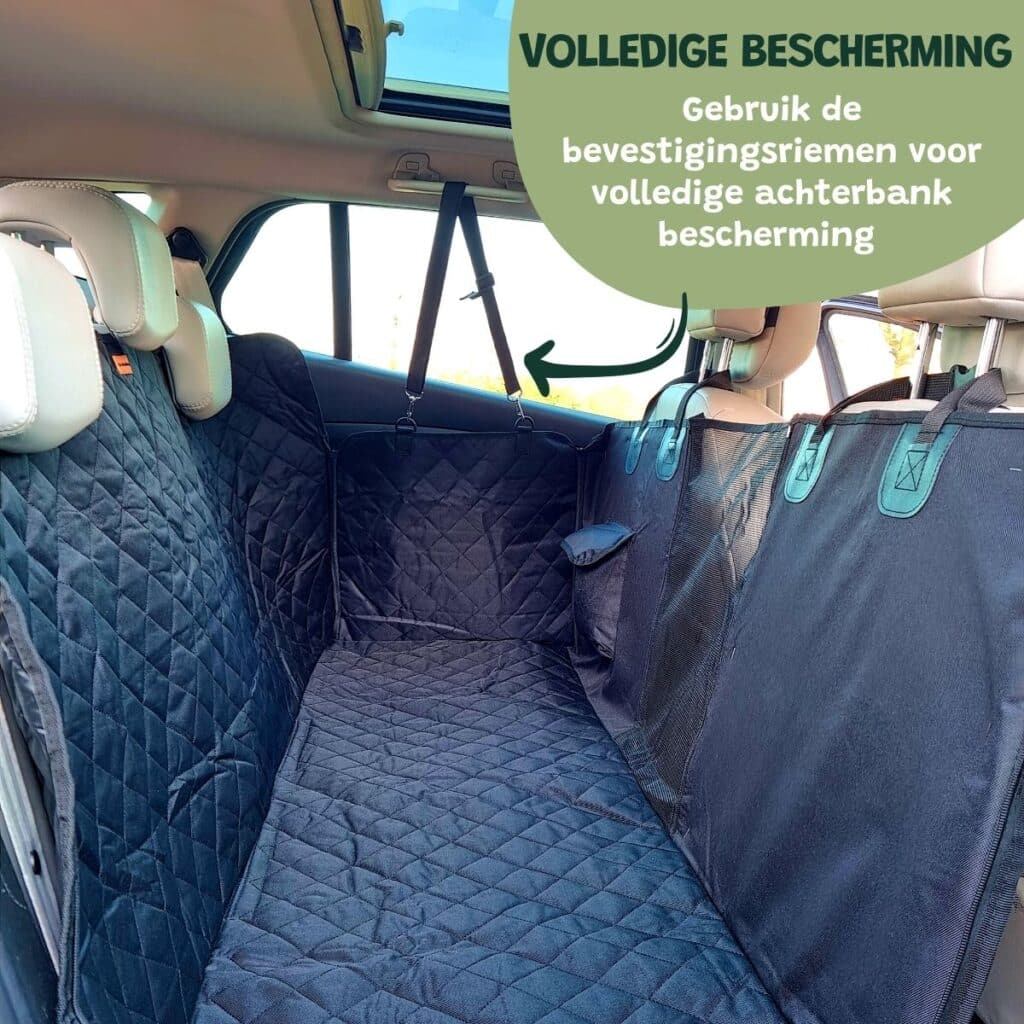 Pluspunten Tov Concurrenten