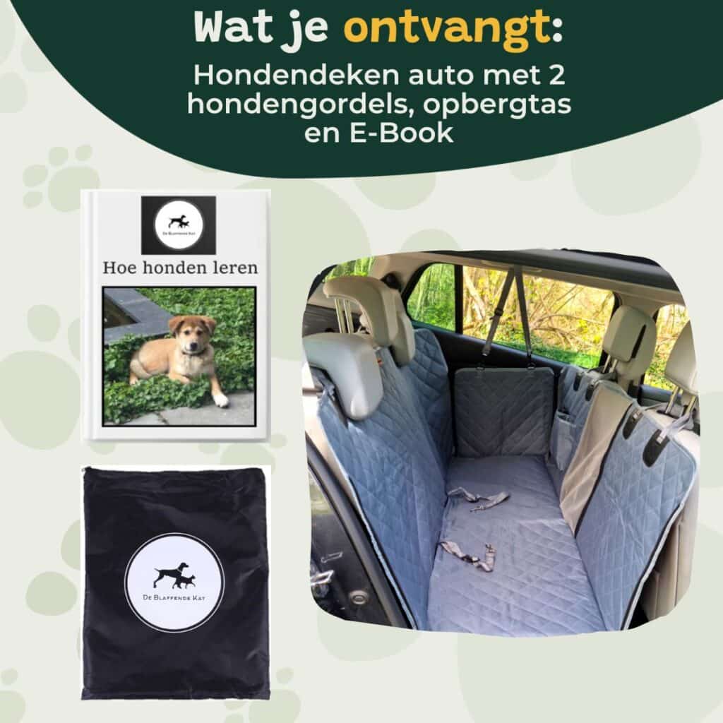 Rebranding Blauwe Hondendeken (1200 × 1200 Px) (1200 × 1200 Px)