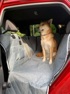 Review hondendeken auto kofferbak