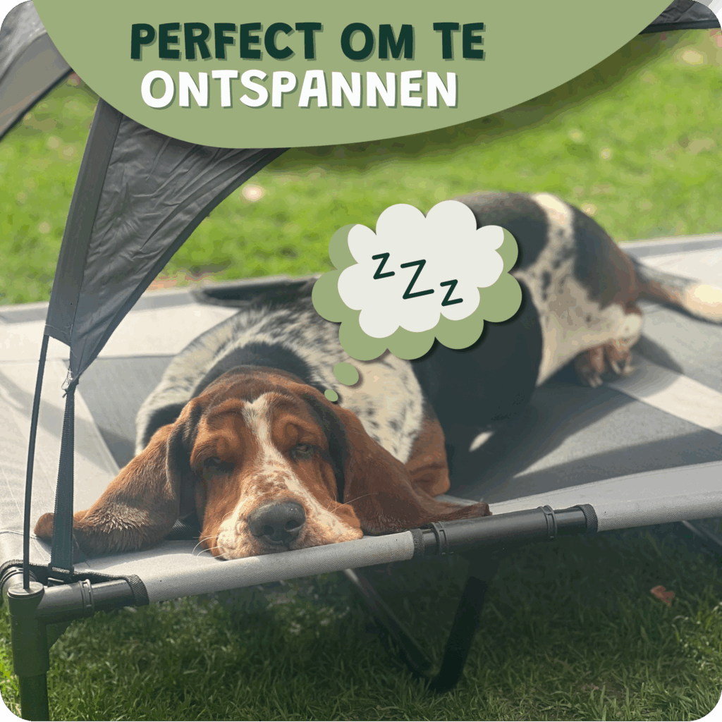 Hondenstretcher Hondenbed Buiten Xl (3)