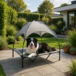 Hondenstretcher Hondenbed Buiten Sfeerafbeelding Met Hond In De Zon