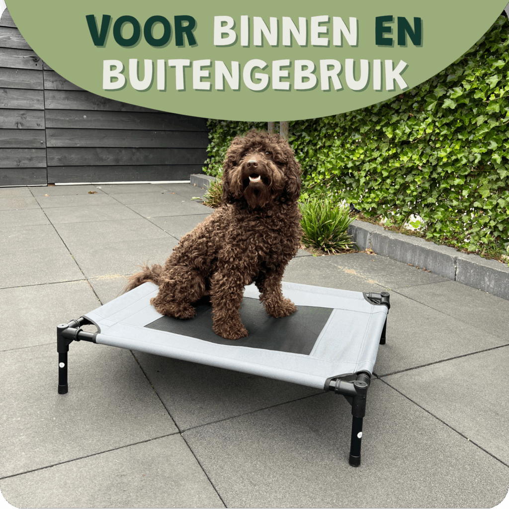 Hondenstretcher Ligbed Hond Binnen En Buiten (1)