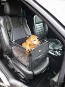 review autostoel hond