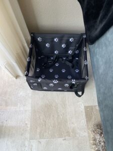 Review autostoel hond