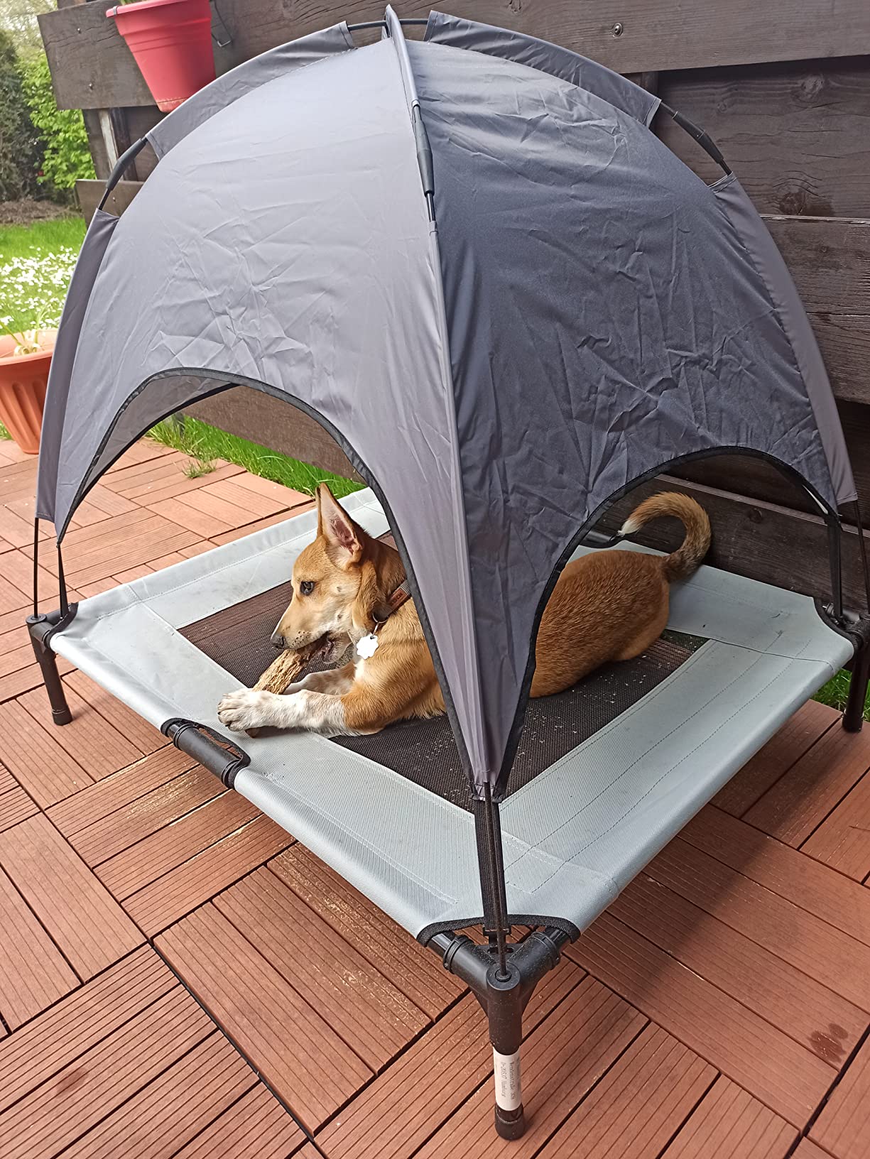 Review Hondenstretcher.jpg