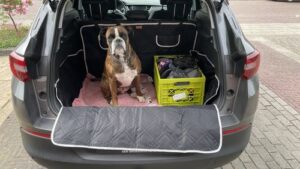 review hondendeken kofferbak