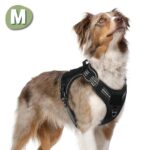 Hondentuigje Maat M Anti Trek Tuig Hond