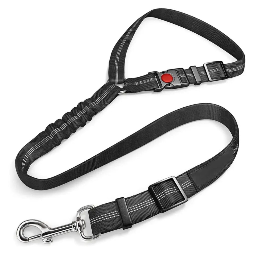 De Blaffende Kat Hondengordel Met E Book