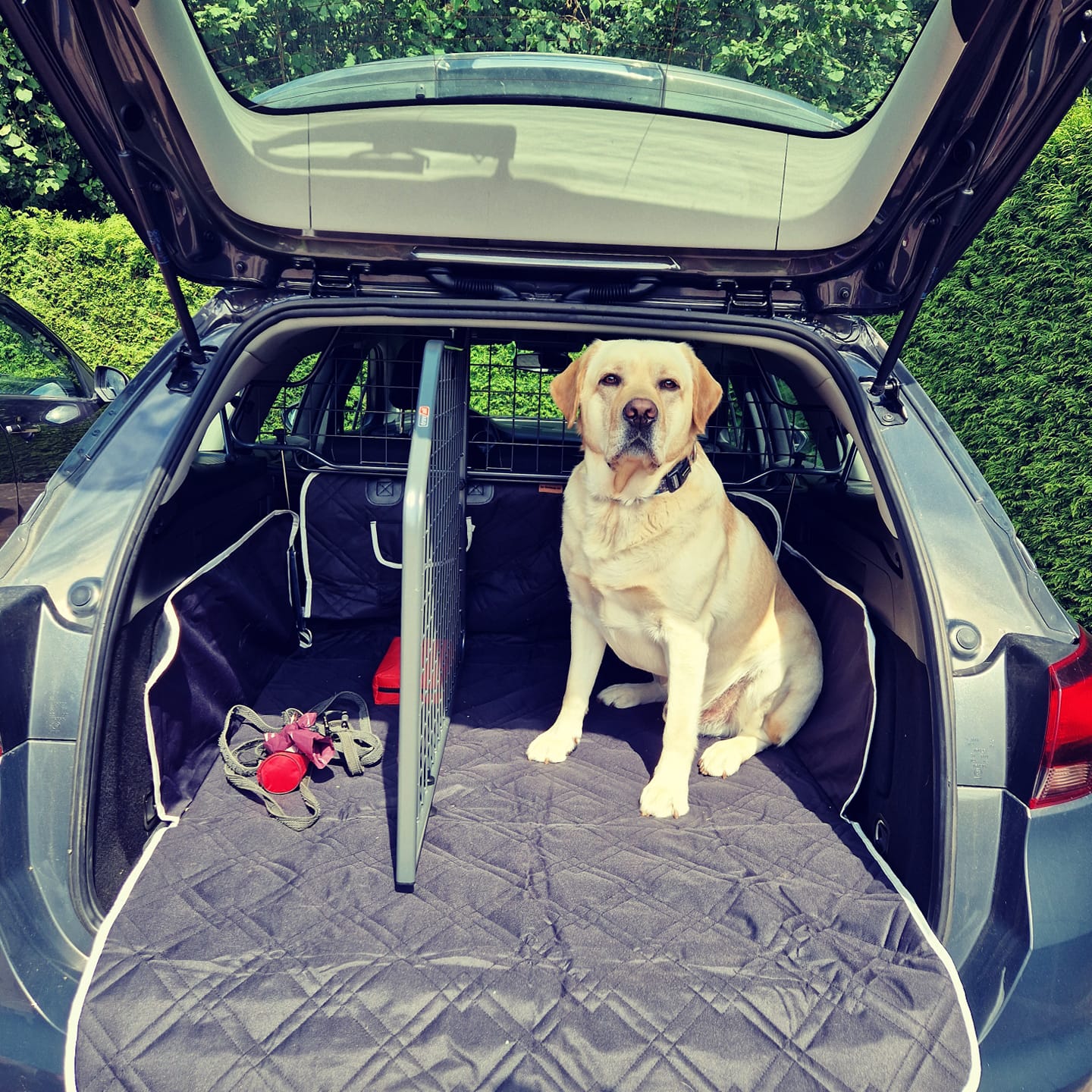 Hondendeken Kofferbak Premium Ilona M.