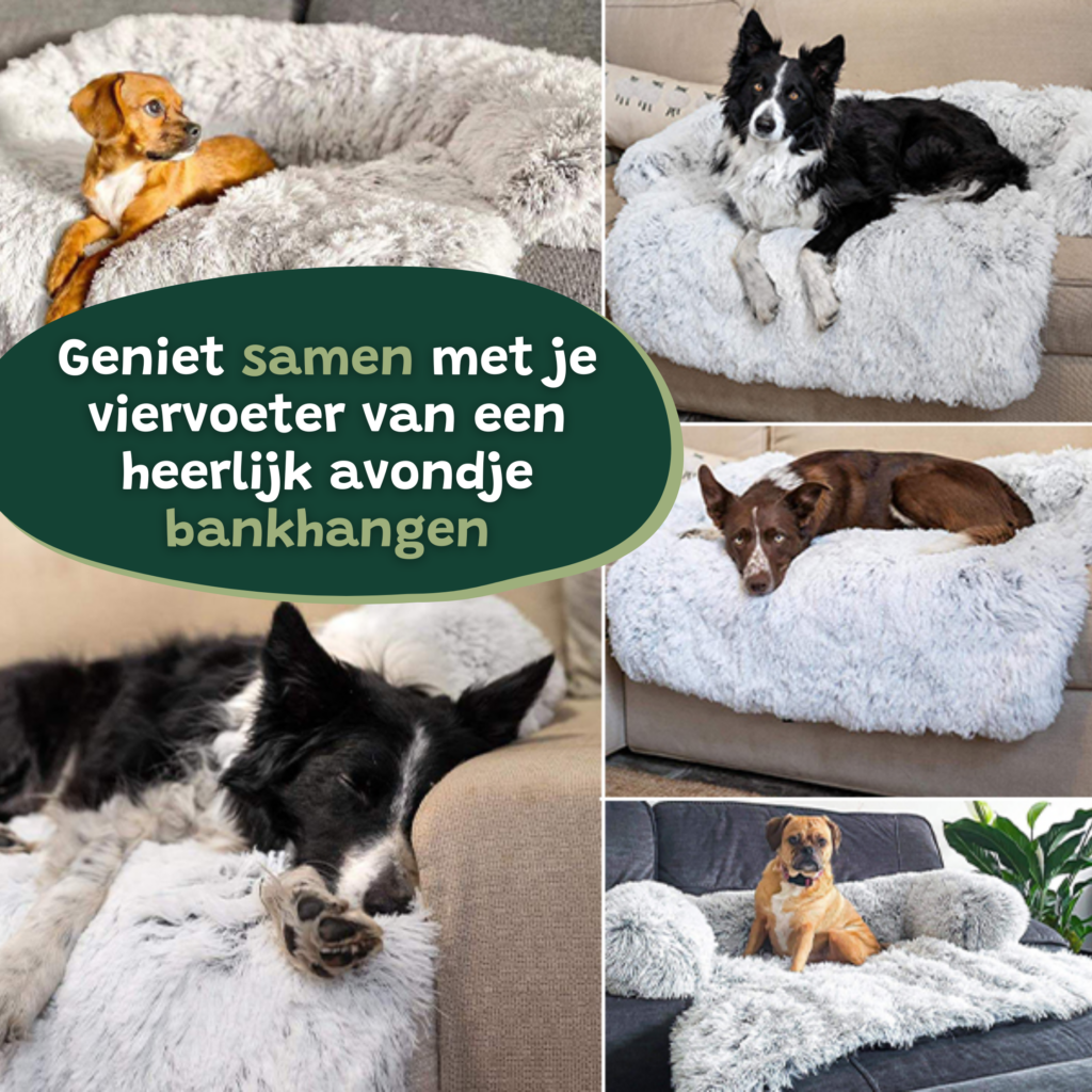 Hondenkussen Bankbeschermer hondenmand hondendeken Wit licht 2 stuks combivoordeel2