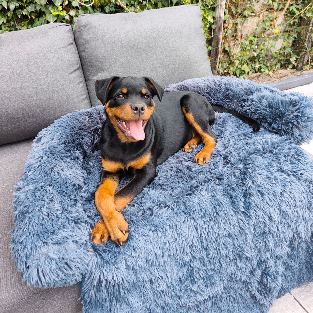 Hondenkussen Grijs donker Bankbeschermer Hondenmand bankkleed combivoordeel set van 22