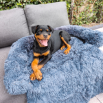 Hondenkussen Grijs donker Bankbeschermer Hondenmand bankkleed combivoordeel set van 22