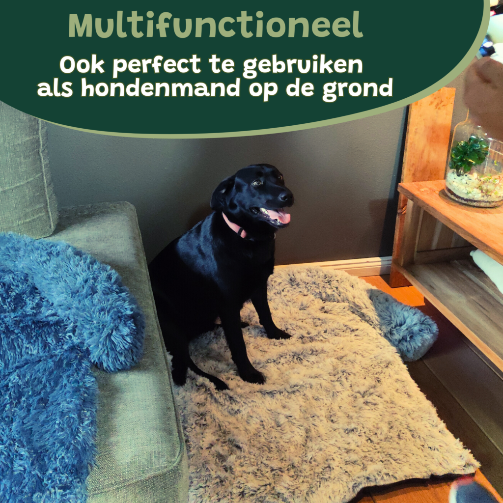 Hondenkussen Bankbeschermer hondenmand hondendeken Wit licht 2 stuks combivoordeel5