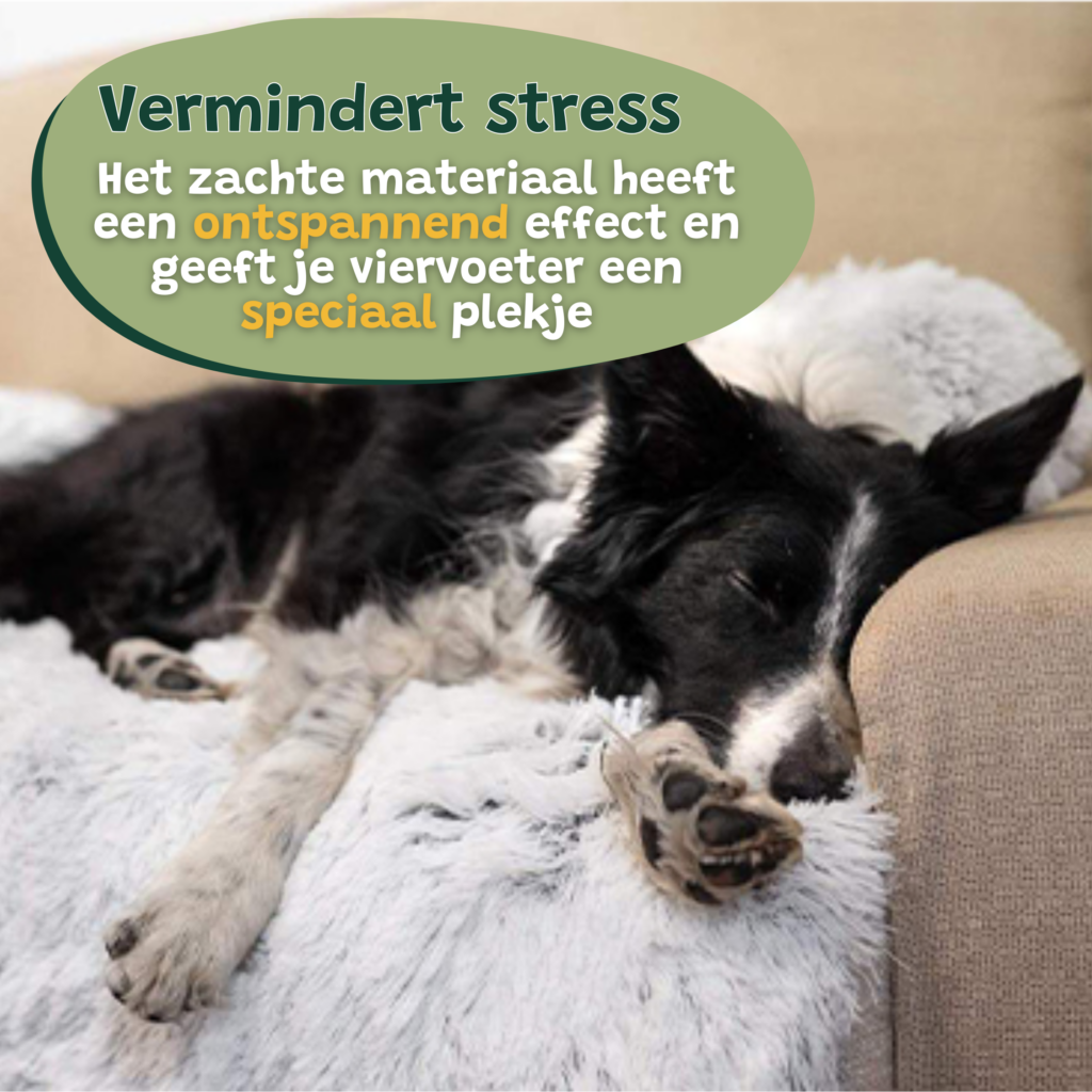 Hondenkussen Bankbeschermer hondenmand hondendeken Wit licht 2 stuks combivoordeel6