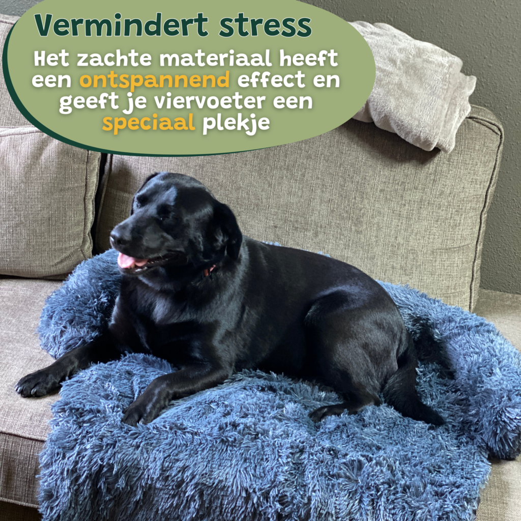 Hondenkussen Grijs donker Bankbeschermer Hondenmand bankkleed combivoordeel set van 2 - 7