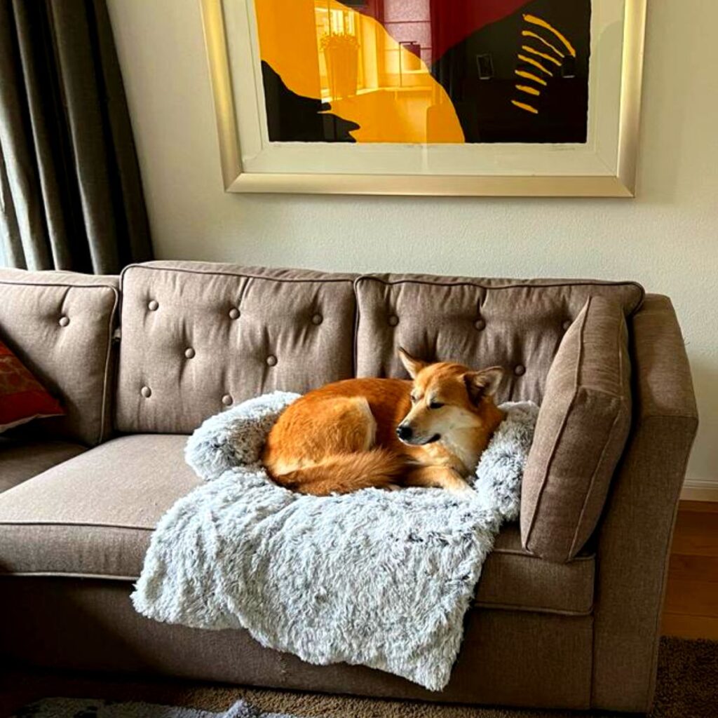 Bankbeschermer 5 Origineel