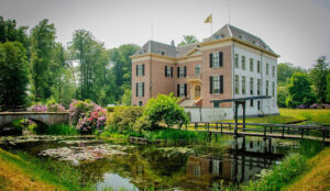 Utrechtse Heuvelrug Beste Wandellocaties Voor Herfstwandelingen Met Je Hond