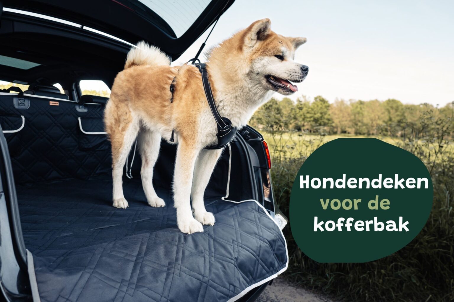 Hondendeken Auto Achterbank, voor Ford Kuga 3 (III) ST-Line Vignale I 2019-2024 2025 Waterdichte Beschermdeken Kofferbak Bescherming Autostoel Huisdieren Hondenkleed