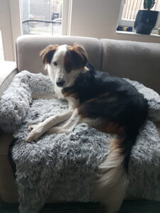 20231129 155257 1.jpg