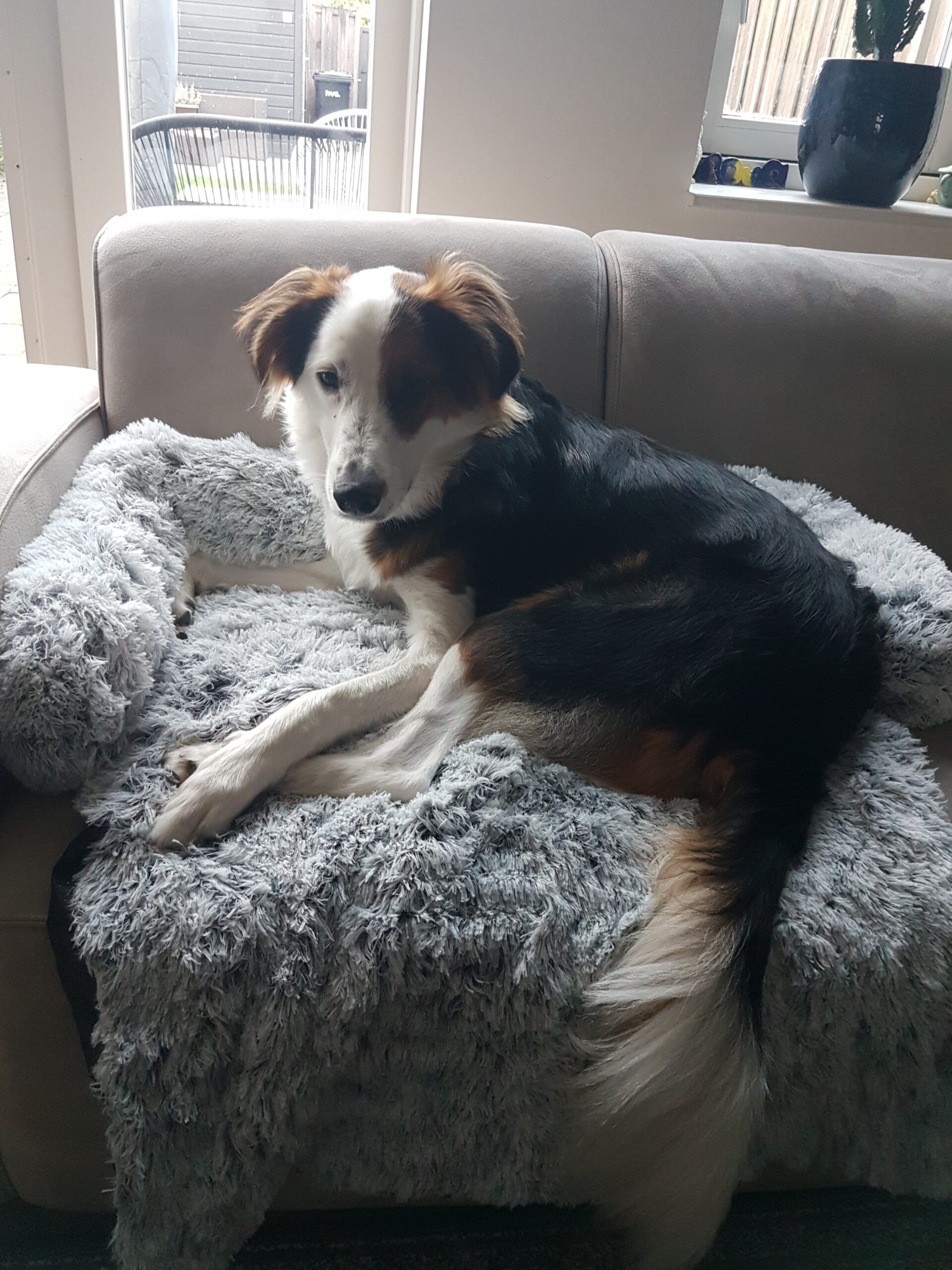 20231129 155257 1.jpg