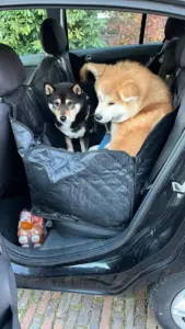 3b4f4144 Ac2c 42b1 81be 064b2cf23997 Scaled 1.webp