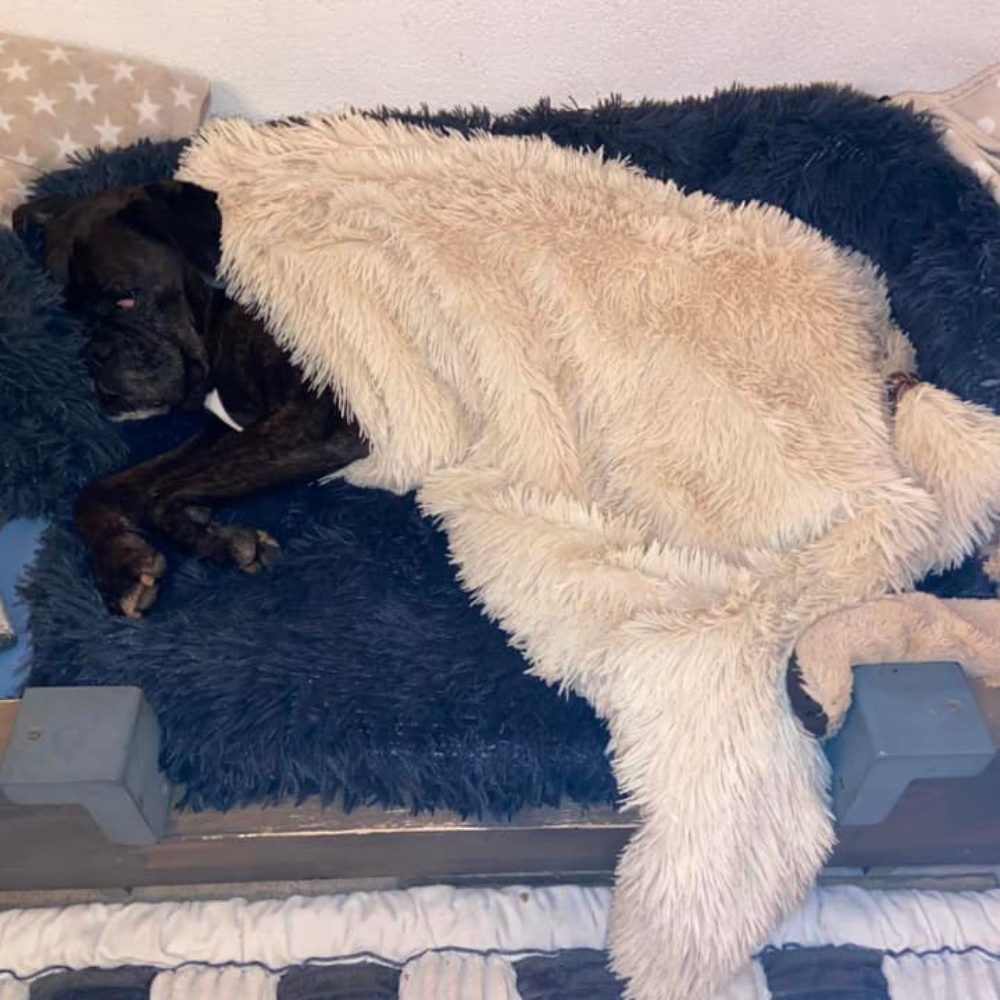 Fotos Klanten Review 1 1.png