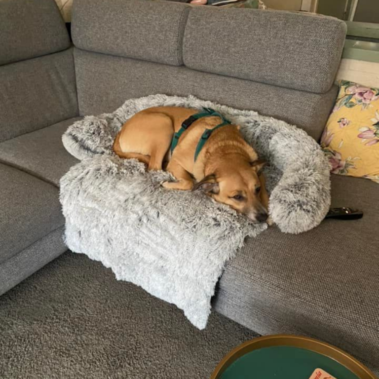 VanderHOME Sofa handdoek Effen kleur Waterdichte Sofa Slipcovers Antislip Elastische Meubels Zachte Protector Bank voor Honden Kat Huisdiervriendelijke 210 * 180 cm-Beige