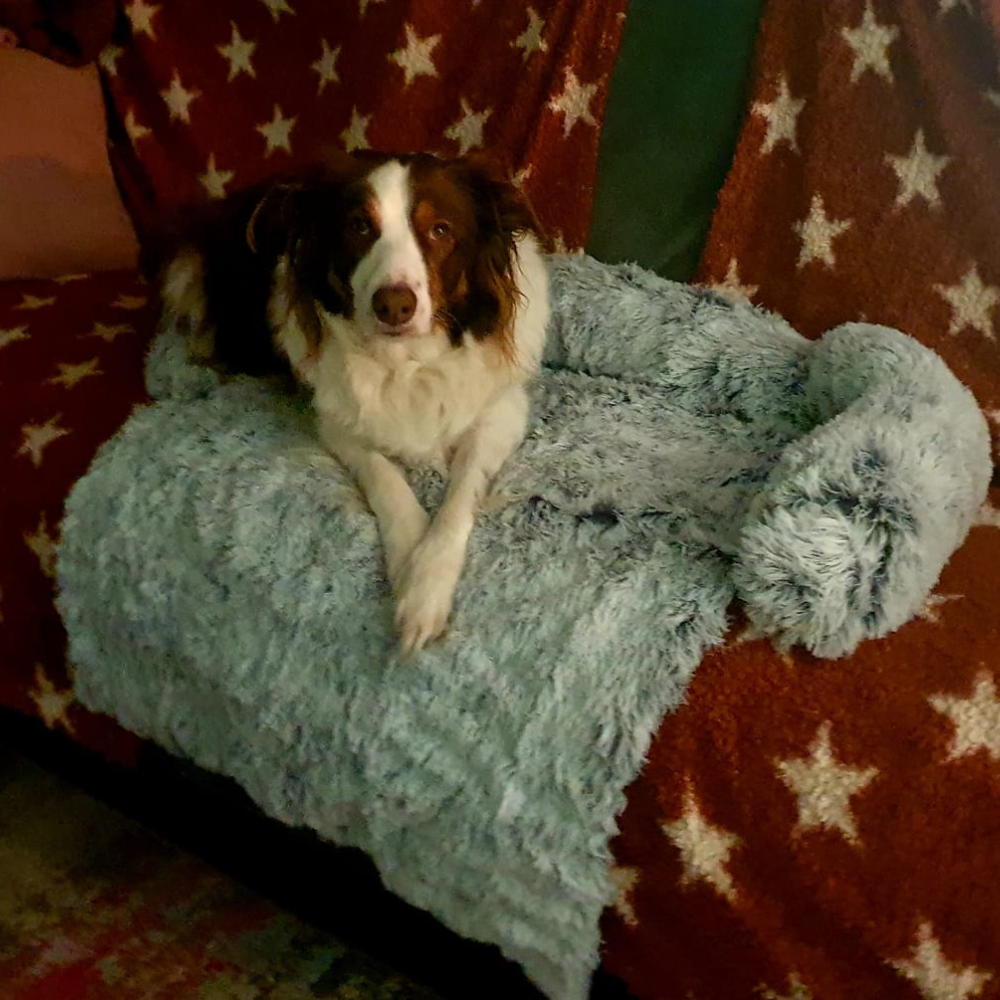 Fotos Klanten Review.png