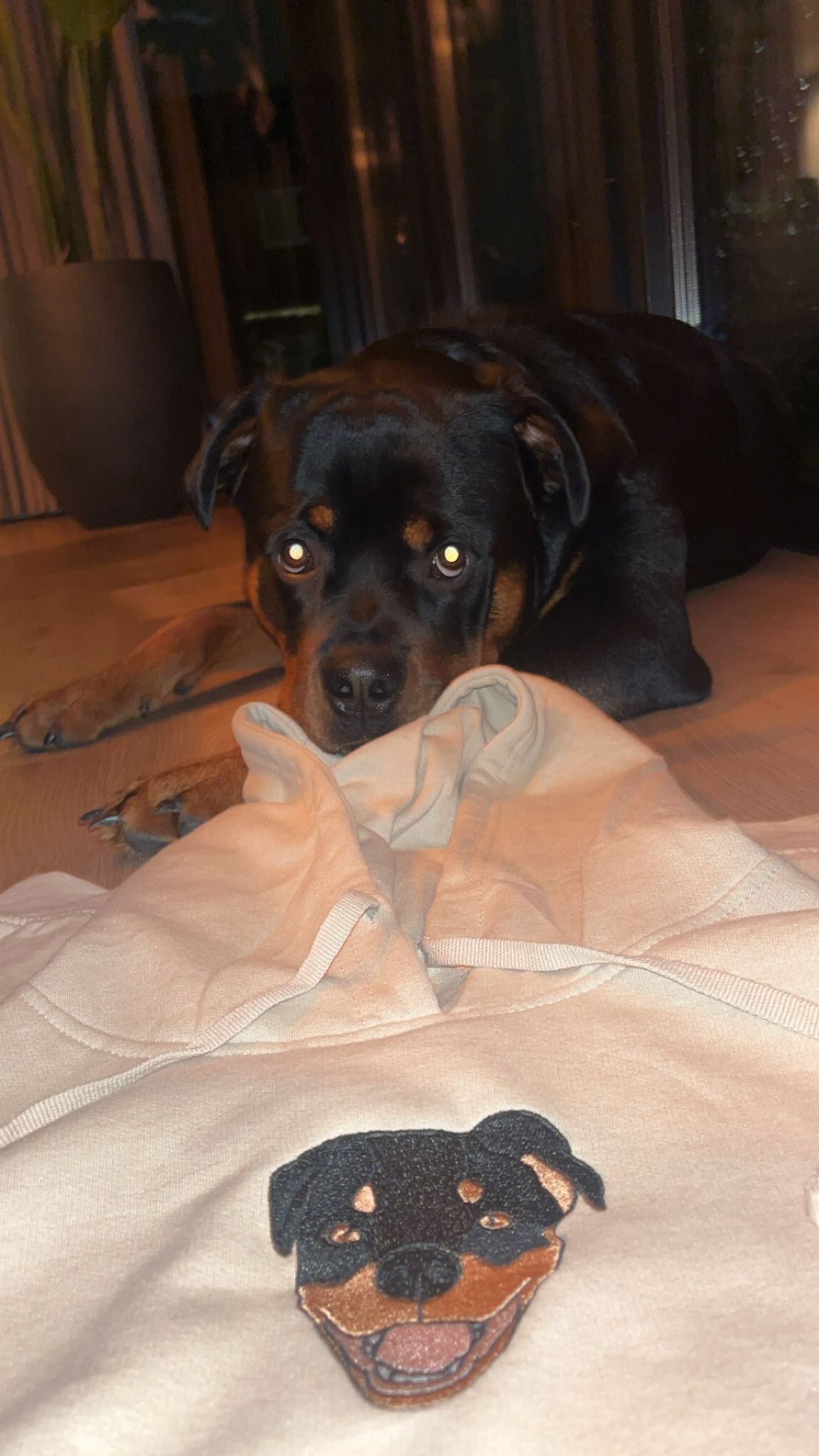 Whatsapp Image 2024 01 09 At 00.59.05.jpeg