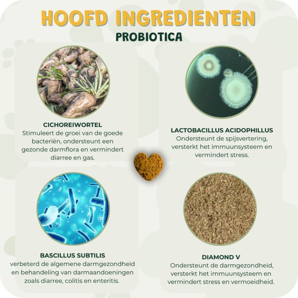 probiotica ingredienten