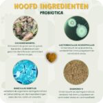 probiotica ingredienten