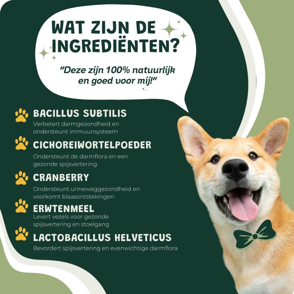 probiotica hond