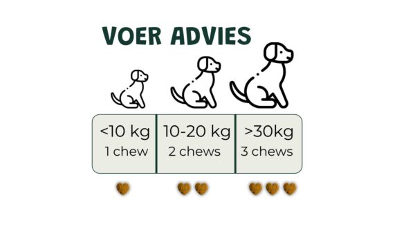 Contentblok Vitachews Hip En Joint Voeradvies (1)