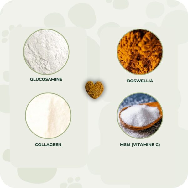 Listing Supplementen (1)